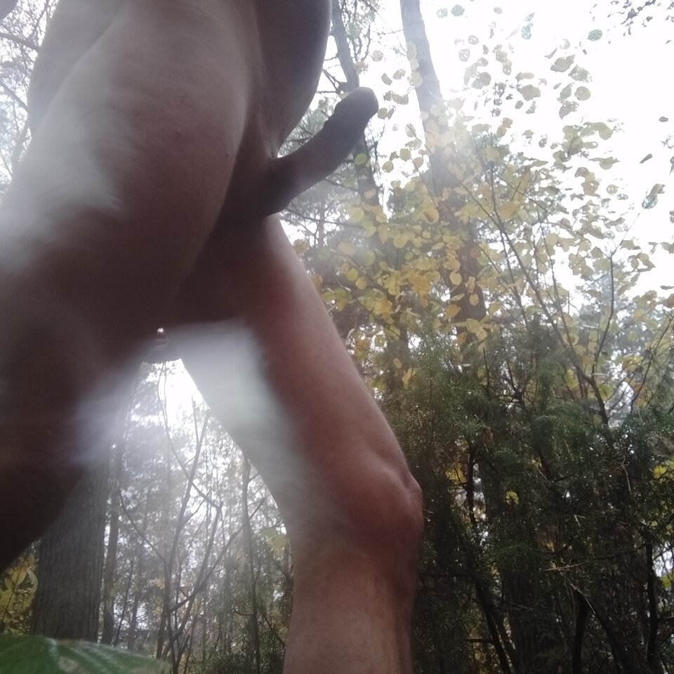 IMG_20221022_130135.jpg - botomi3001