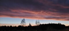 20221021_062812.jpg