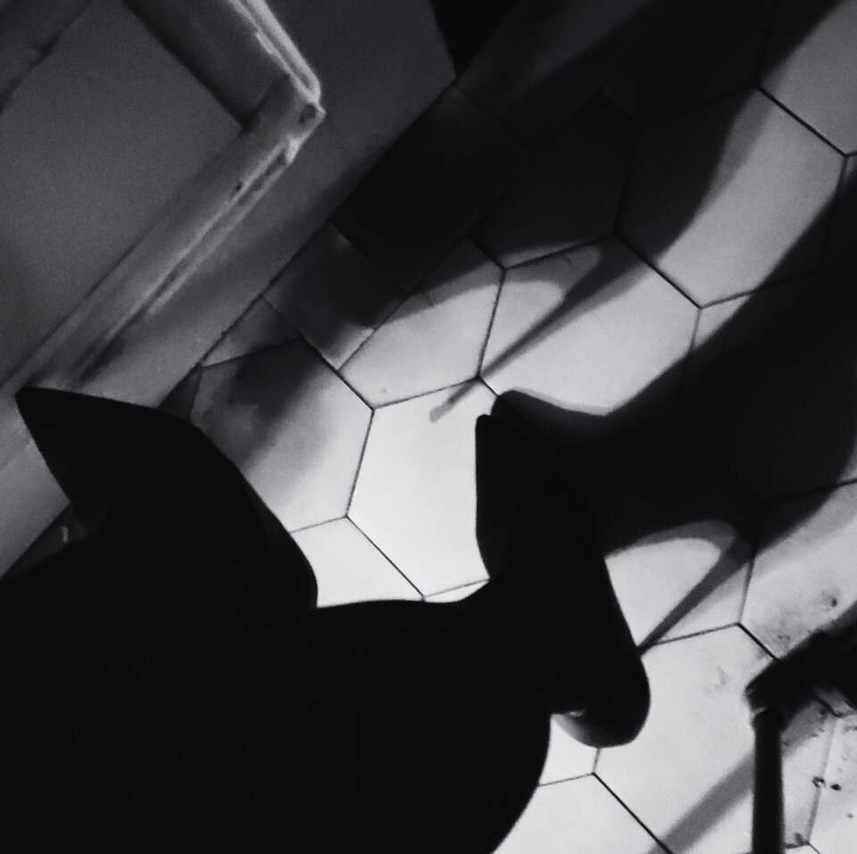 IMG_20221022_155745.jpg - Jawahirr