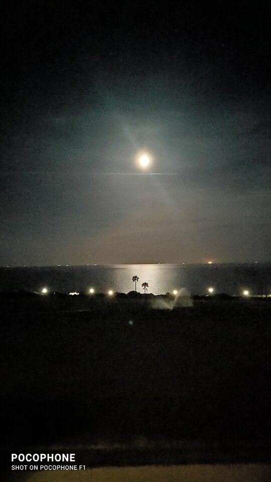 IMG_20220417_234208.jpg - spanion