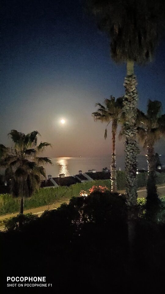 IMG_20220416_214255.jpg - spanion