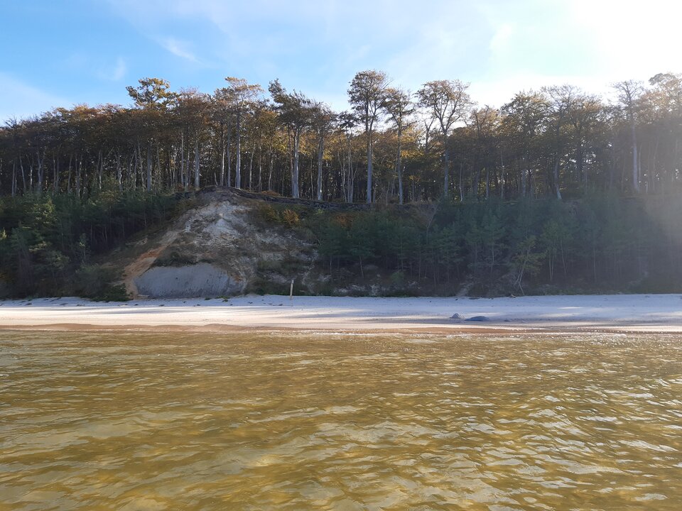 20221007_151626.jpg - torii99