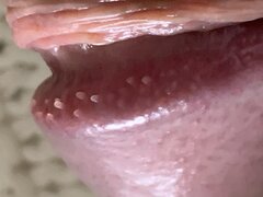 3BBFBB83-A164-4125-81D8-A2B89CBBB72A.jpeg