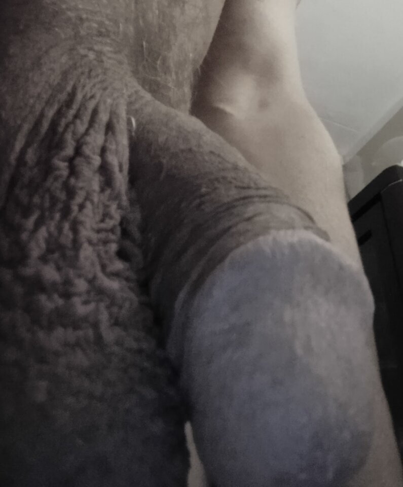 IMG_20221023_054742~2.jpg - 19Grzegorz55