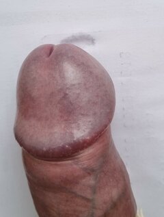 20221023_090311.jpg