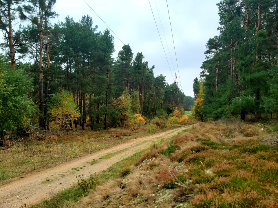 20221023_142034.jpg - Octopus8