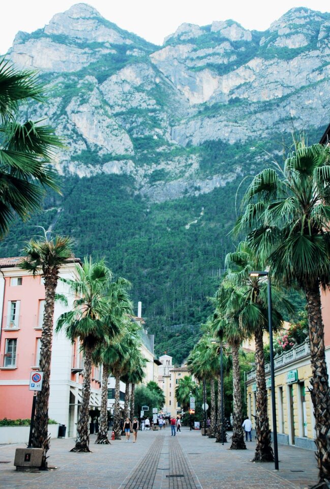 20221023_142326.jpg - harryraider