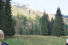 DSC06755.JPG