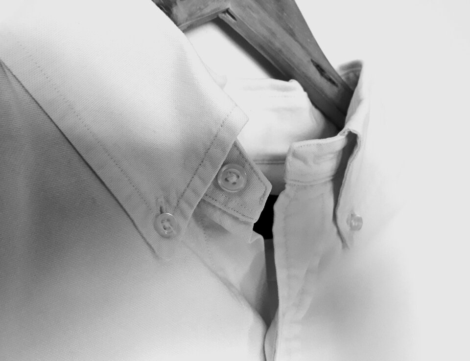 20221024_120447.jpg - Cottonshirt85