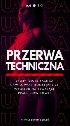 PRZERWA TECHNICZNA
