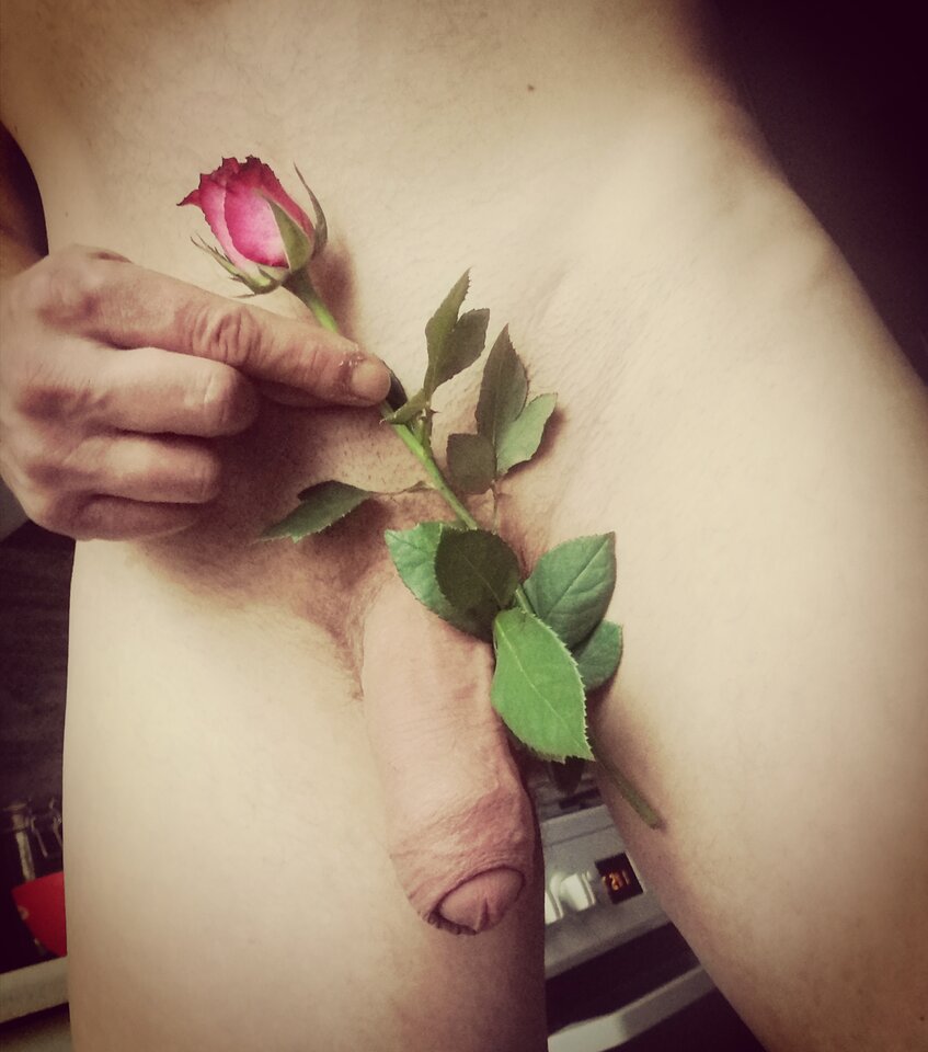 IMG_20221022_120002.jpg - szalonaparka76