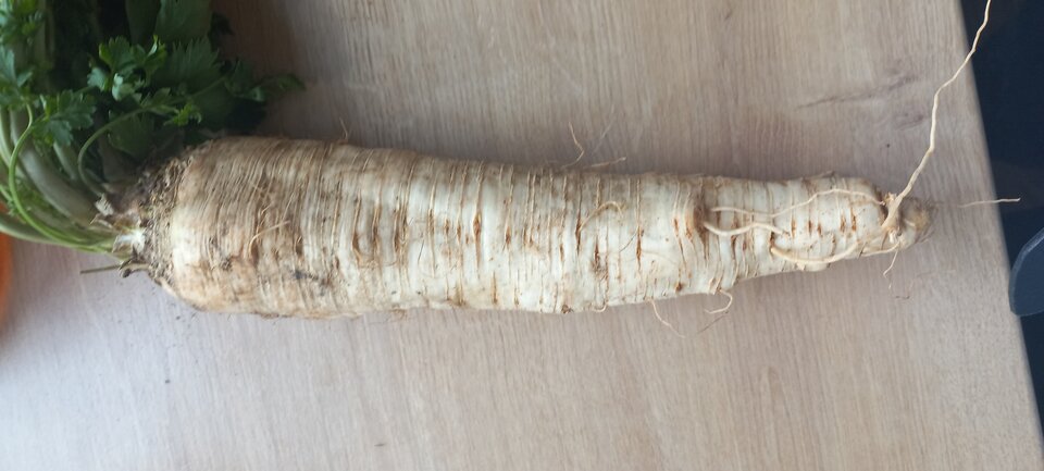 20221025_112240.jpg - InkaIna