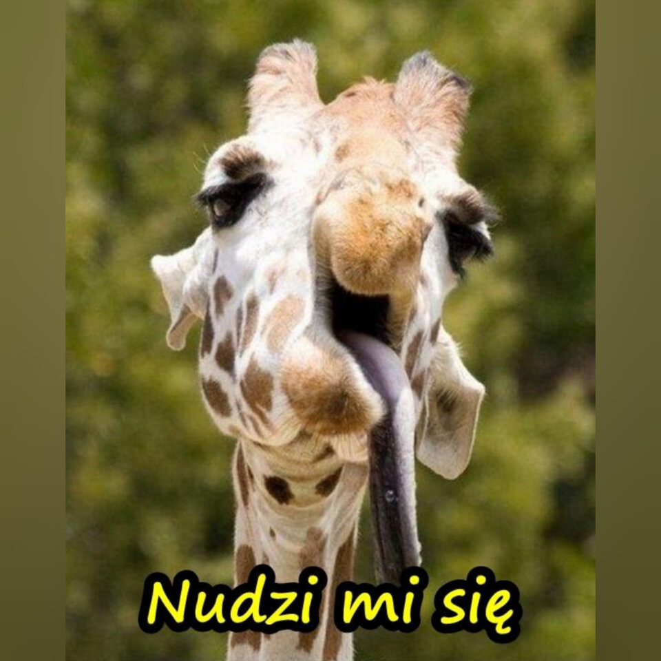 👀 - Kulfon_i_Monika