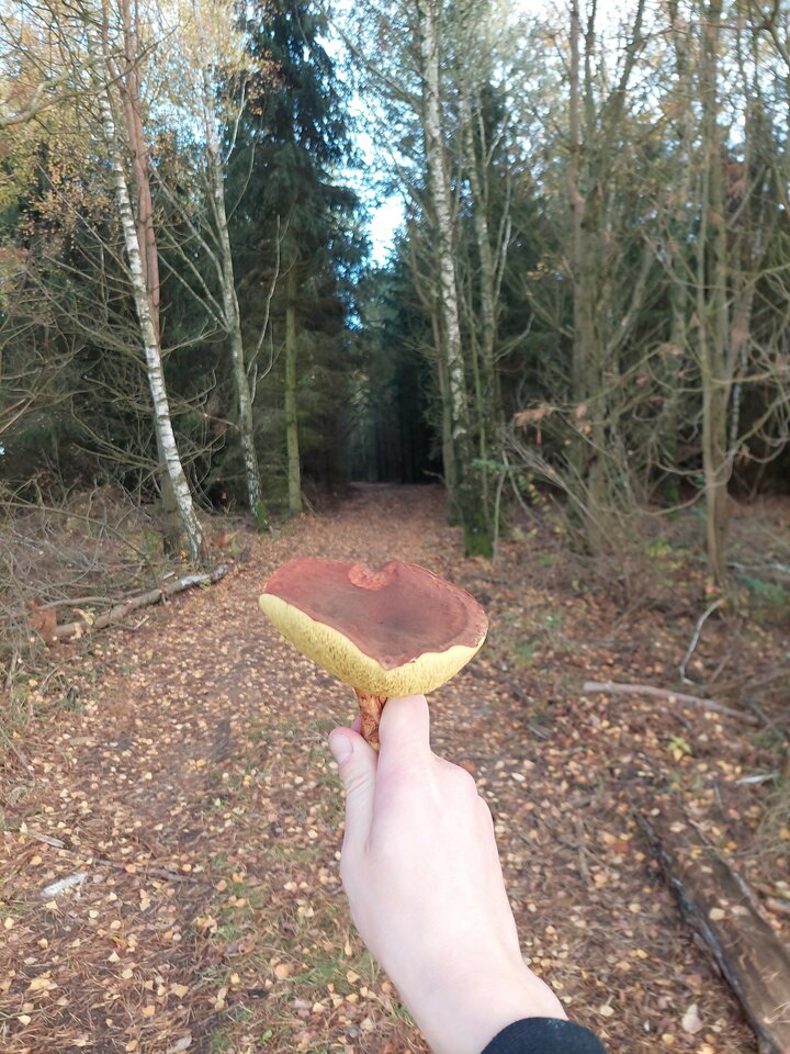 IMG_20221023_155212_01.jpg - reserva1