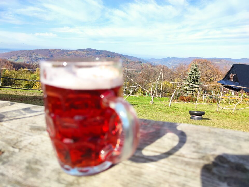 IMG_20221023_134748.jpg - Agrestowe_Pole