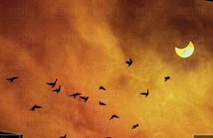 Mała odskocznia od codzienności...