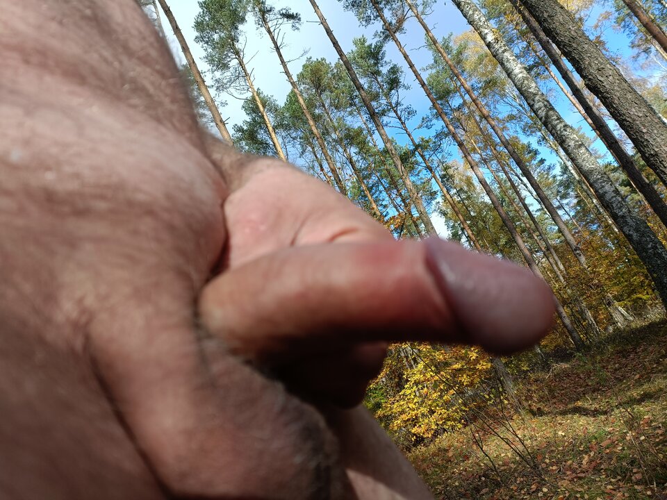 16667772466661753860517435367796.jpg - ardas1