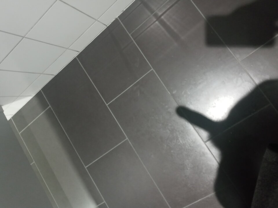 20221026_084558_HDR.jpg - BrunecikPtbb