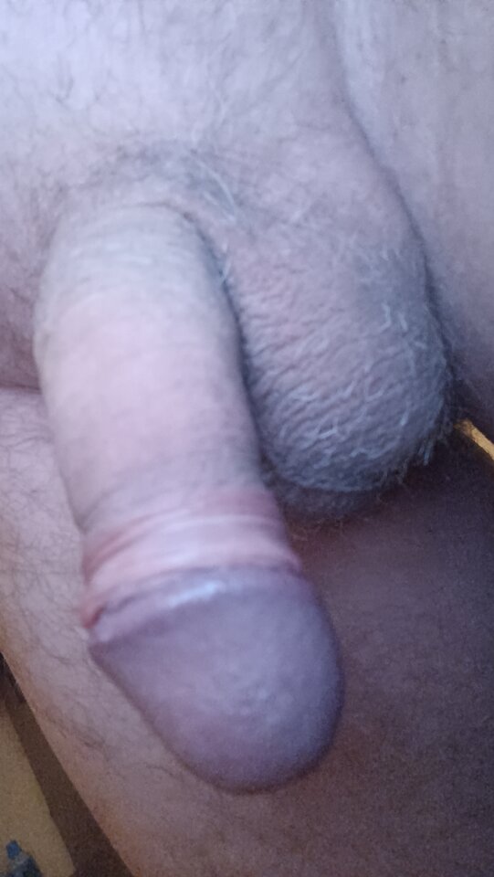 IMG20221026054146.jpg - ardas1