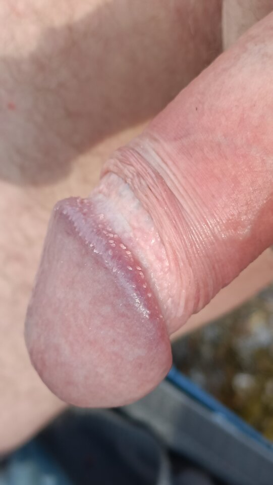 IMG20221026145531.jpg - ardas1