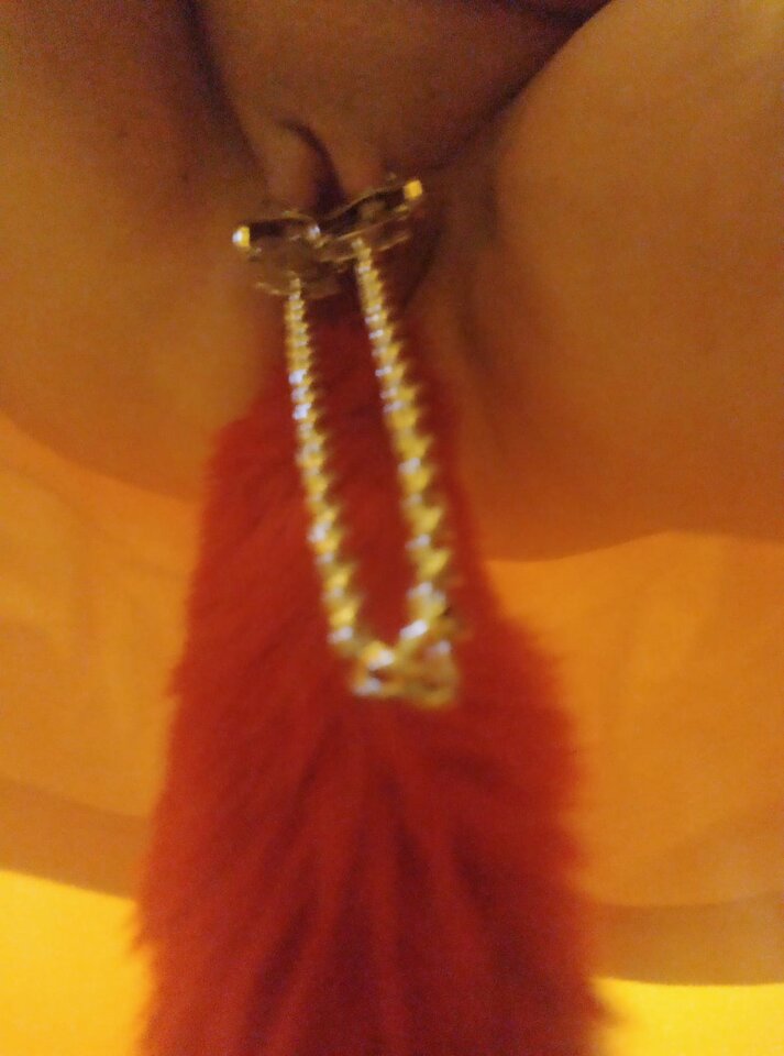 IMG-20221026-WA0027.jpg - miroxs