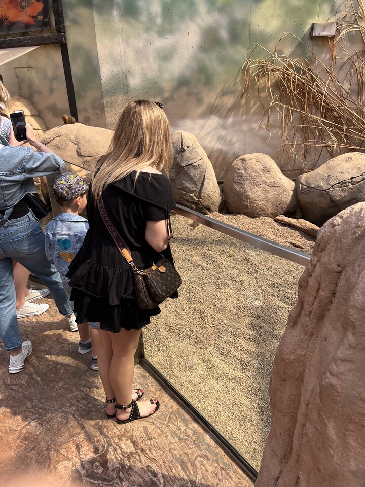 854C7303-B4FA-47D5-8ABF-2AF53D90D76E.jpeg - Ulegla4m1k