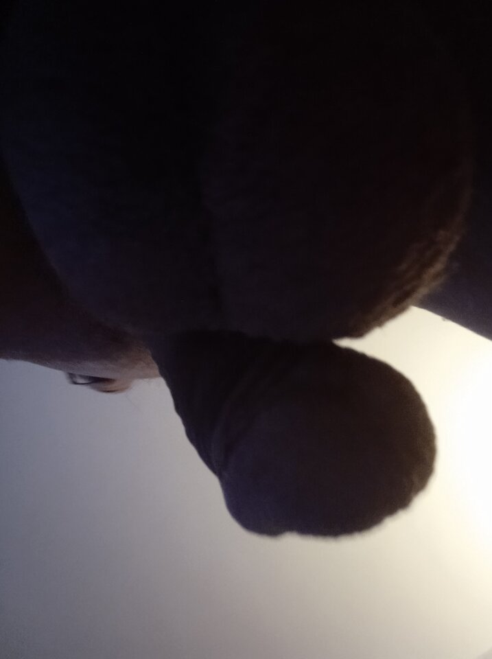 IMG_20221026_074116.jpg - 19Grzegorz55