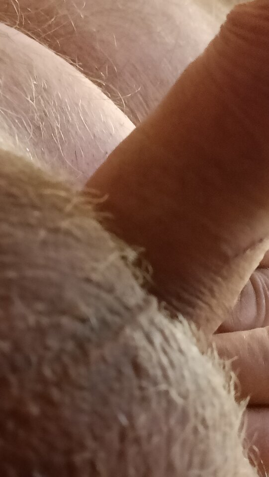 IMG20221027105848.jpg - ardas1