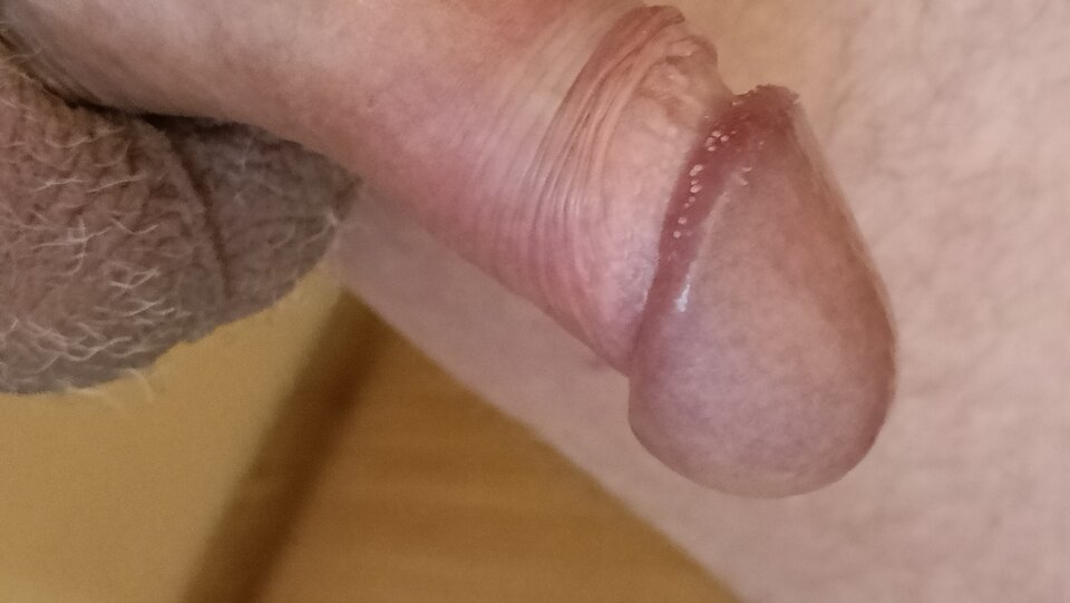 IMG20221027105903.jpg - ardas1