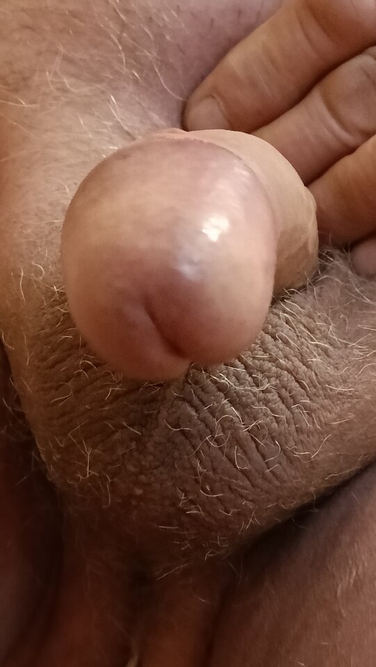 IMG20221027105845.jpg - ardas1