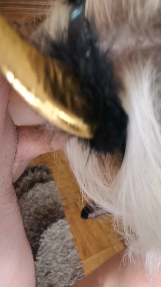 Videoframe_20221027_135543_com.huawei.himovie.overseas.jpg - Babo75