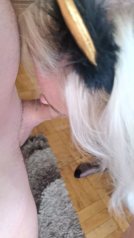 Videoframe_20221027_135558_com.huawei.himovie.overseas.jpg - Babo75