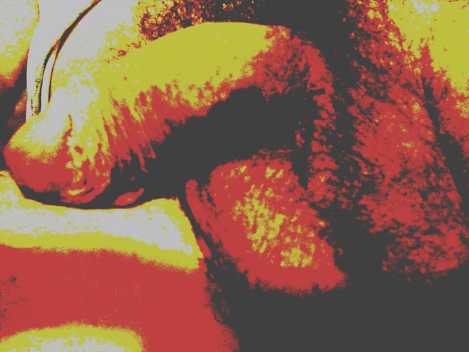 imgpsh_.jpg - kilermax