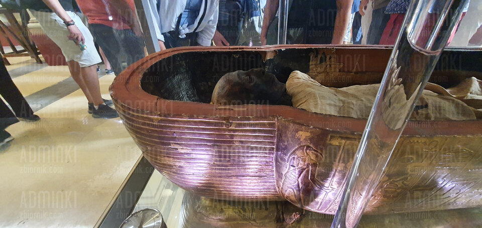 20221027_115554.jpg - Adminki