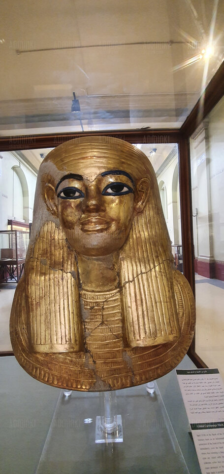 20221027_115057.jpg - Adminki