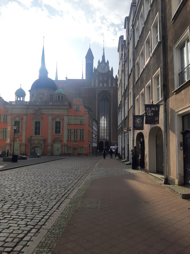 Kto ma ochotę na spacer? - Brunet3miasto