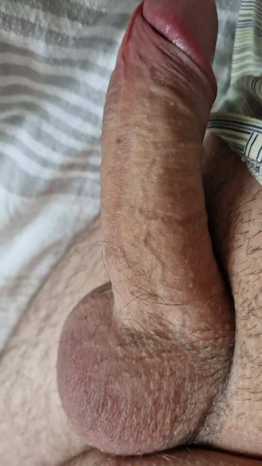 IMG-20221022-WA0002.jpeg - Marek511