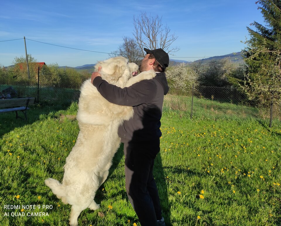 IMG_20221028_173011.jpg - Mr84