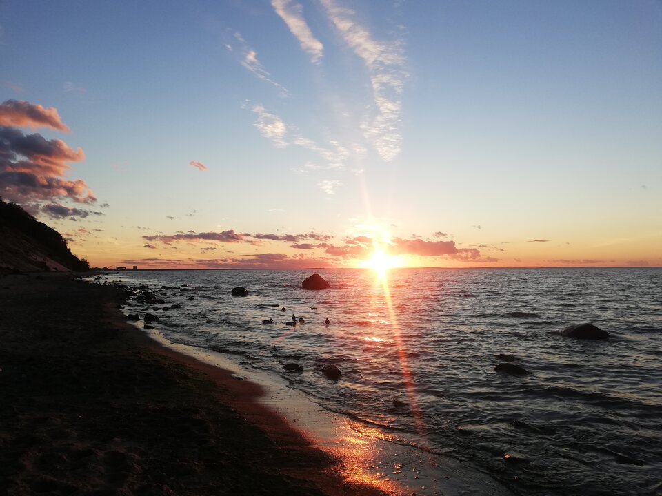 IMG_20221016_175540.jpg - torii99