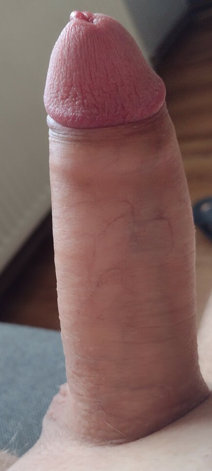 IMG_20221029_115335515~2.jpg - bedzin30