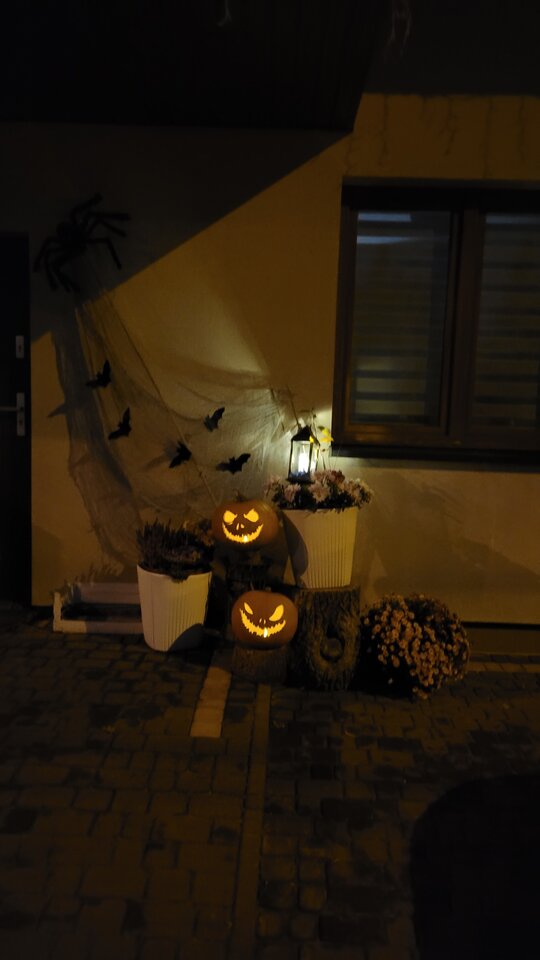 20221029_181306.jpg - GiA196