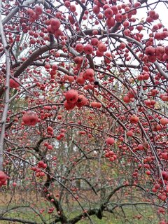 IMG_20221023_104845.jpg