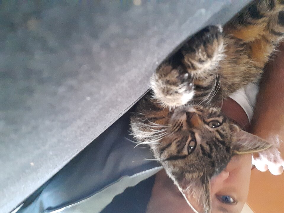 20220730_152547.jpg - ukash87