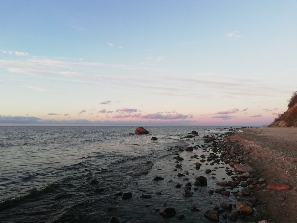 IMG_20221016_175831.jpg - torii99