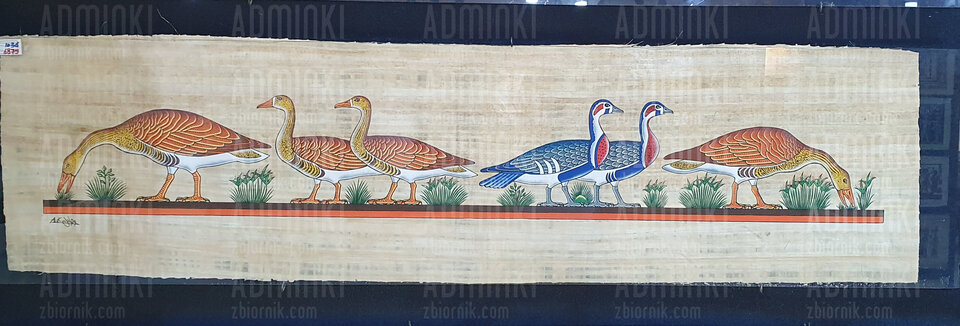 20221028_165641.jpg - Adminki