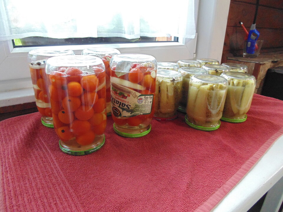 DSC09247.JPG - TOFIK_REAKTYWACJA