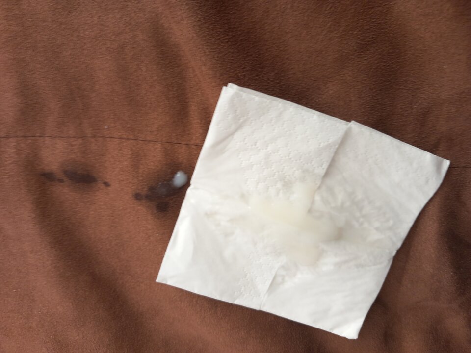 16671377032916191304384595076635.jpg - szukampaninasex69