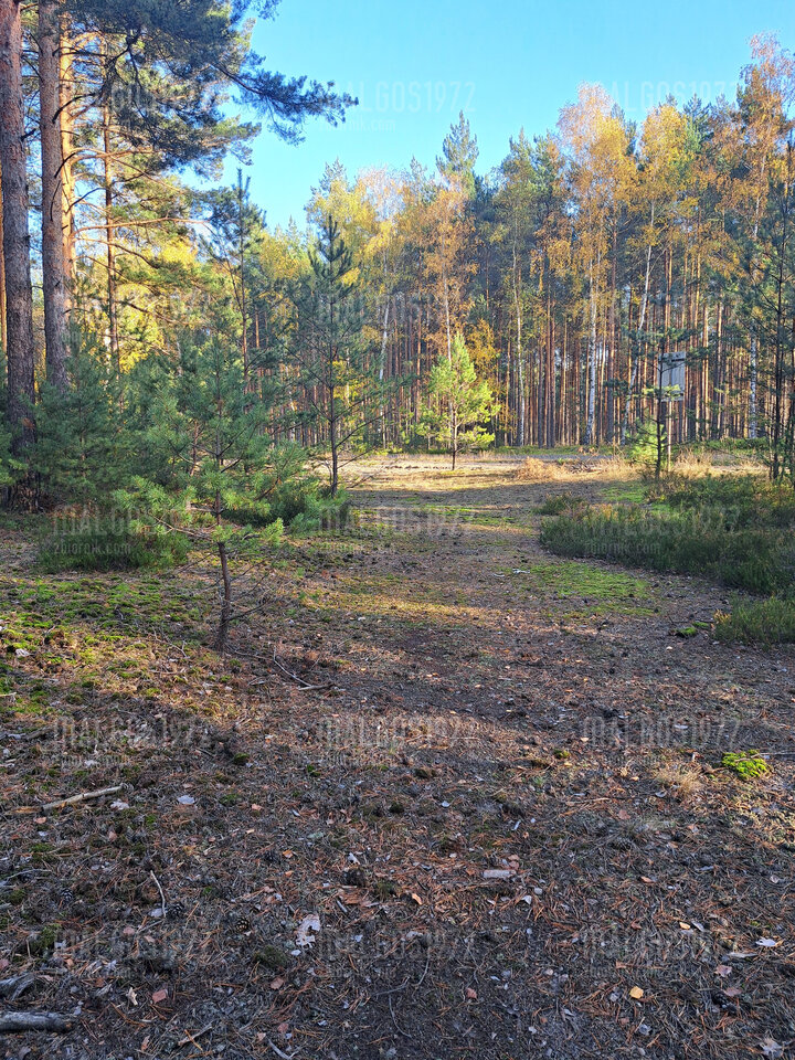 20221030_143602.jpg - malgos1972