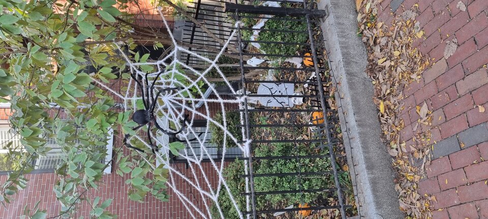 20221020_152752.jpg - drchemik83