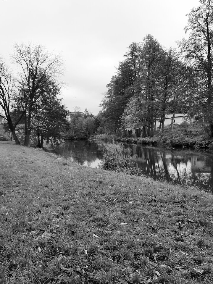 20221030_075332.jpg - dino8